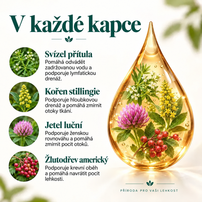 Drenessa – český obrázek produktu 9